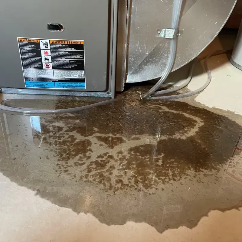 Appliance Leak Cleanup in Lake of the Pines, CA